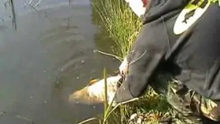Carp Fishing - Mill Pond Carp Syndicate RIP