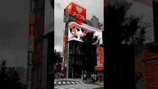 🚶Tokyo Street walker🚶&zwj;♀️🐈・#shorts