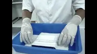 Northern Blotting