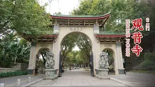 厦门观音寺Xiamen Guan Yin Temple: Coastal Beacon of Mercy and the Thousand-Handed Vow