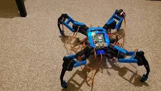 Revolutionary New Quadruped Walk Gait (Not Clickbait 🗣🔥)