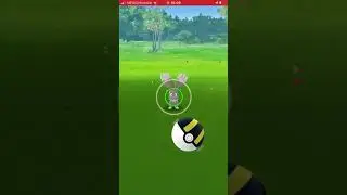 Shiny scoppel