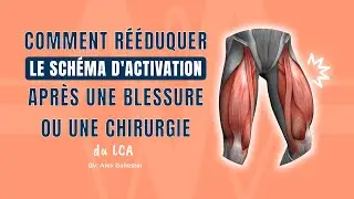 Comment r&eacute;&eacute;duquer le sch&eacute;ma d'activation apr&egrave;s une blessure ou une chirurgie du LCA
