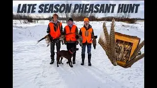 Pheasant Hunting in the Midwest (Late Season)