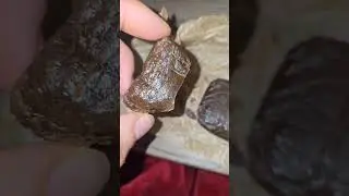 dry hash Drisift hash maxima calidad