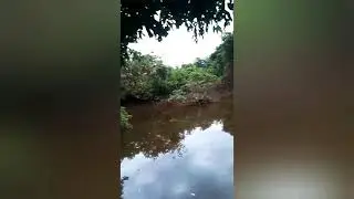 TRAIRA NA ISCA ARTIFICIAL POPPER