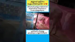 Farmer use Mosquito Net around his Cows to Protect them from Insects #shorts