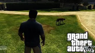 THE 🥹EMOTION DOG🐕 VISITS ITS OWNER IN GRAVE🪦 EVERY DAY IN GTA V
