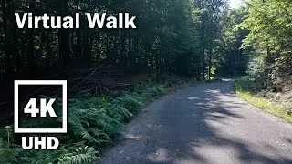 15-minute Hike Virtual Walk | 4K UHD Stereo | no Music | Palatinate Forest | 58