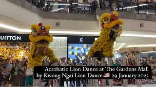CNY Day 8 2023 Acrobatic Lion Dance by Kwong Ngai Lion Dance at The Gardens Mall 🇲🇾 29 Jan 2023