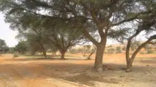 الا ياهل الطلعات تكفون