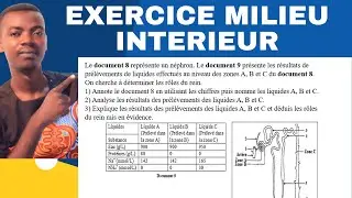 Analyse d'un Document sur le Rein - Rôle du Rein & Liquides Biologiques
