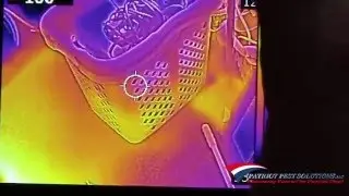 Bed Bug Heat Treatment FLIR Thermal Camera