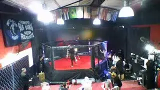Fight Night Combat