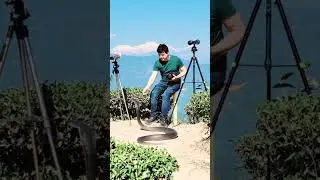 Animal Lover #snake #king cobra #nature #tea garden #peak #mountain #snow #camera