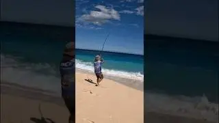 fish Frenzy!! 🐟🐟🐟🐟