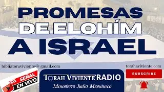 PROMESAS DE ELOHÍM A ISRAEL  /// 🇮🇱 AM ISRAEL JAI 🇮🇱