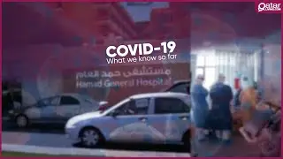 Coronavirus (COVID-19) in Qatar