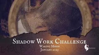 Shadow Work Challenge | December 30, 2022