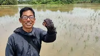 POV : Dari Banjir Sampe ke mesin POLAR PS825 Beraksi Ikuti Keseruan Saya DiLapangan yuks😇
