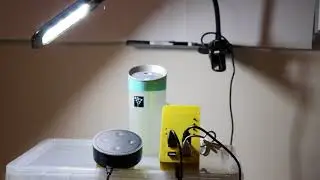 Alexa turning off the Dot