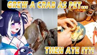 Shylily Reacts To I Farmed Crab in My Garage. Was it Worth it?