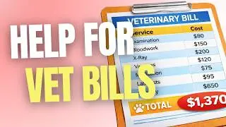 These Organizations Will Pay For Your Veterinary Bills