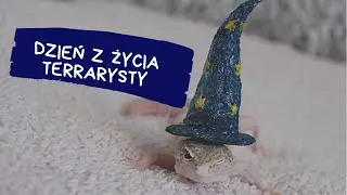 DZIEŃ Z ŻYCIA TERRARYSTY❤️❗️