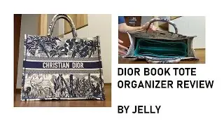 EP16 - DIOR BOOK TOTE FLAMINGO PALM ORGANIZER REVIEW