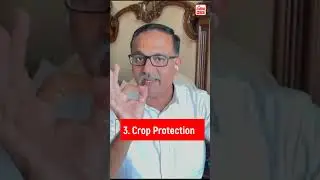 Pomegranate Bacterial Blight Management By @BTGore