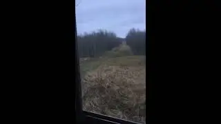 The best Hunting blind view in the fall
