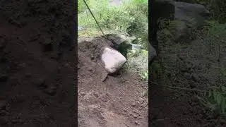 The stone fell into the pond