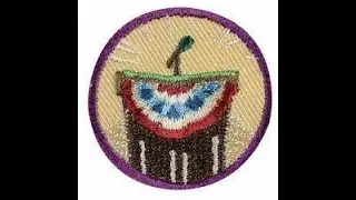 Junior Inside Government Badge: Step 1