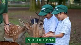 Visit New Forest Wildlife Park in Hampshire