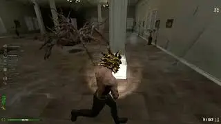 Dead Frontier 2 Nix Boss and Minis Raid with Heister