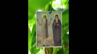 День памяти Прпп. Павла Фивейского