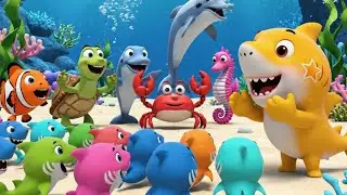 Baby Shark&rsquo;s Ocean Adventure! 🦈 Learn Sea Animals & Song