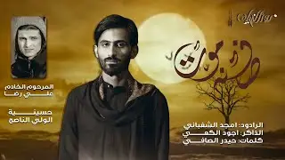 صفنة موت :: امجد الشغانبي :: هيئة الولي الناصح :: اربعين السيدة زينب ١٤٤٥هـ ::تنفيذ شركة نور الخيام