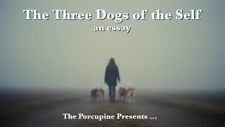The Three Dogs of the Self | An Essay