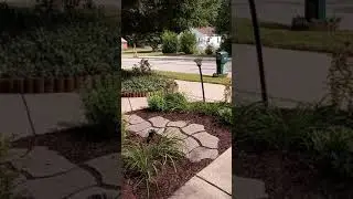 hernandez landscaping professional services call us for You free estimate at 313-454-7860