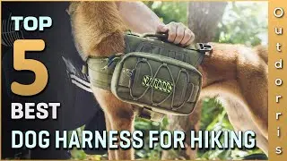 Top 5 Best Dog Harnesses for Hiking Review in 2025