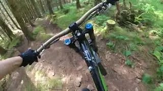 Bagpuss  - POV Mountain Biking Trail, Pitmedden Forest, Abernethy, Fife, Scotland MTB