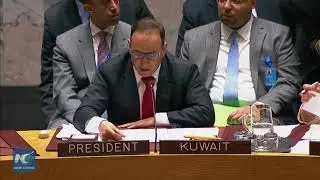 UN Security Council adopts Russian-drafted resolution on renewal of Yemen sanctions