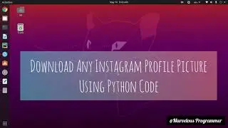 Download Any Instagram Profile Picture | Python | Marvelous Programmer