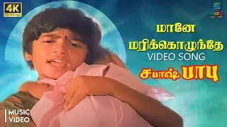 Maane Marikozhunthe 4K Remastered Video Song - Sabash Babu | HQ Audio | STR | T Rajender | SPE Music