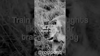 A lion understands that dominance begins in the mind.
