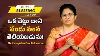 ఒక చెట్టు దాని పండు వలన తెలియబడును! | Sis. Evangeline Paul Dhinakaran | Today's Blessing