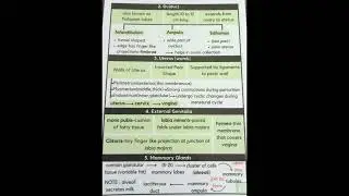 Human reproduction #shortnotes #humanreproductionclass12 #neet2025 #biology  #flashcards