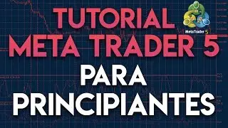 Tutorial MetaTrader 5 para principiantes | C&oacute;mo usar MeTatrader (MT5)
