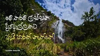 මේ තරම් ලස්සන දියඇල්ලකට ඇයි පාරක් නැත්තේ| Diyaluma waterfall | Diyaluma diya ali | Diyaluma Ella